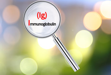 Immunoglobulin